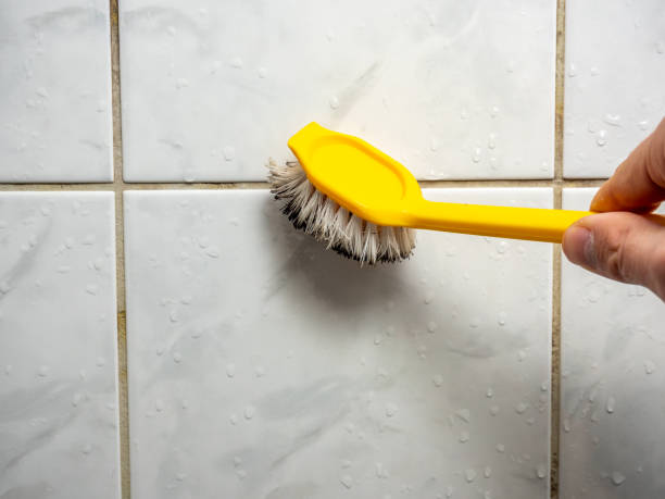 Best Mold Removal Near Me  in San Pasqual, CA