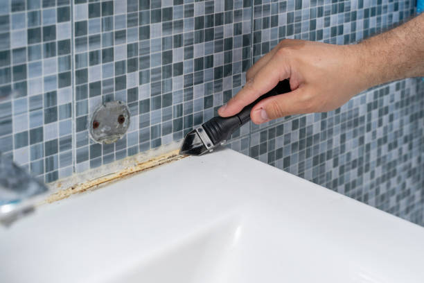Best Residential Mold Removal  in San Pasqual, CA